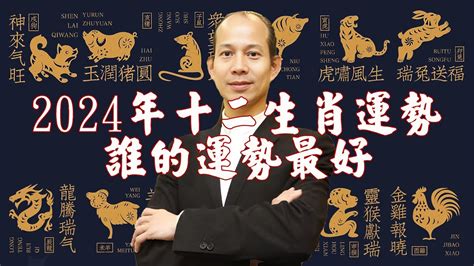 生肖幸運色|龍年到！12生肖最強開運秘訣大公開 幸運數字、顏色。